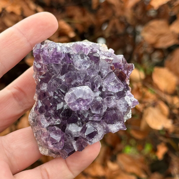 Amethist Cluster - #A14