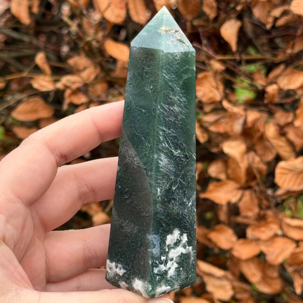 Mosagaat Punt uit India - #2