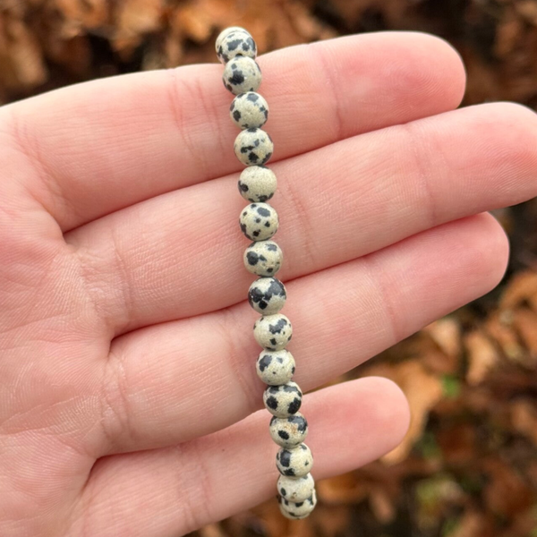 Dalmatiër Jaspis Armband - 6MM