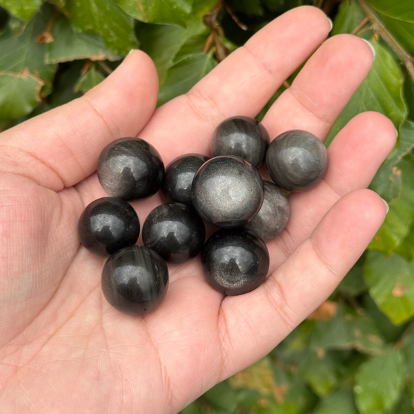 Mini Bolletjes