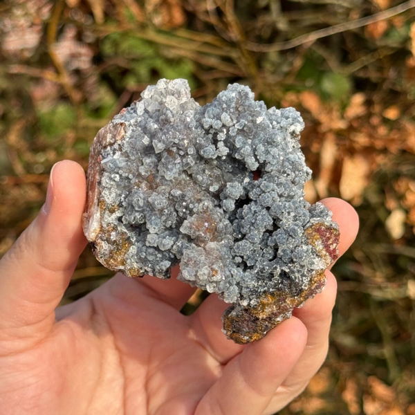 Manganiet Cluster - #MA1