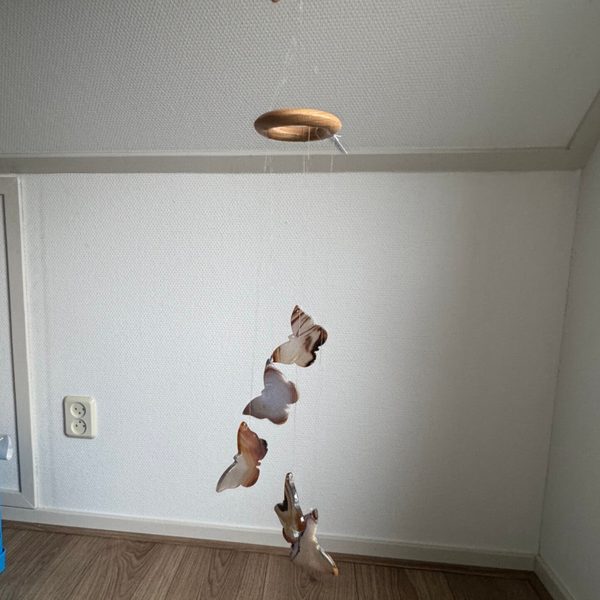 Windhanger Vlinders Agaat