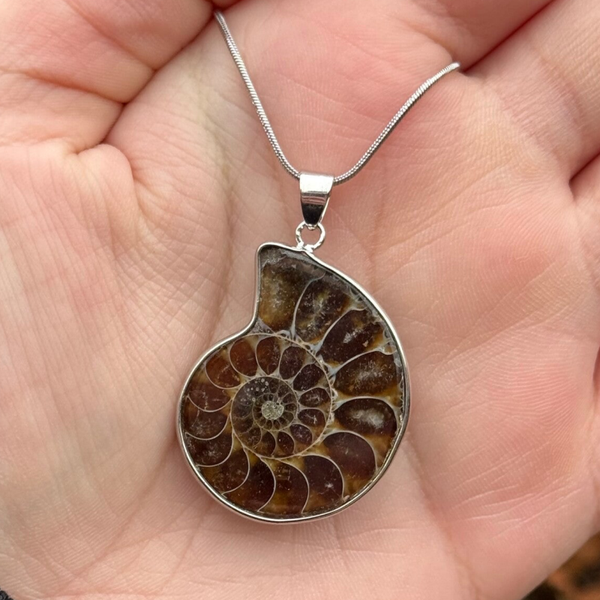 Irriserende Ammoniet Hanger