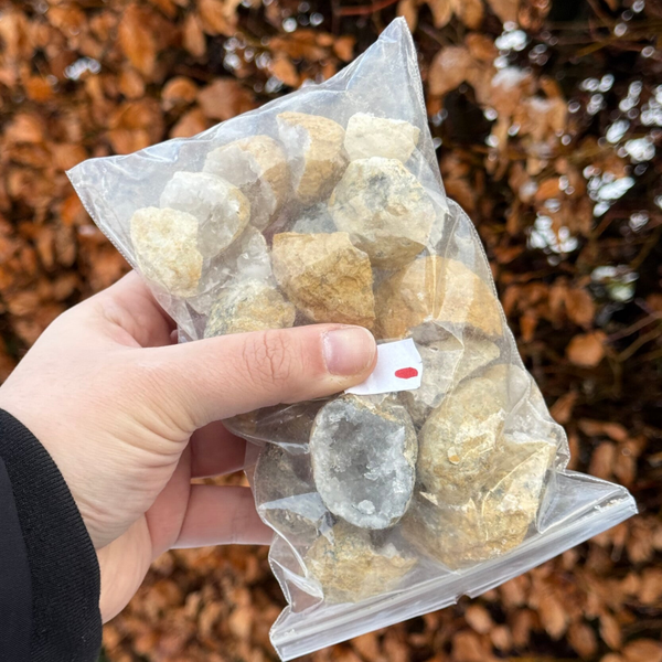 Willekeurige Halve Kwarts Geode