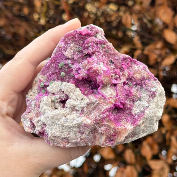 Zeldzaam: Cobalto Calciet met Malachiet Cluster