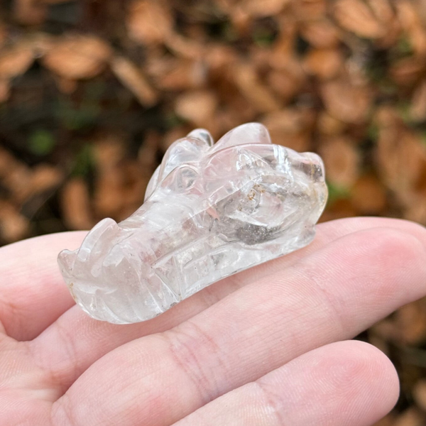 Bergkristal Drakenschedel