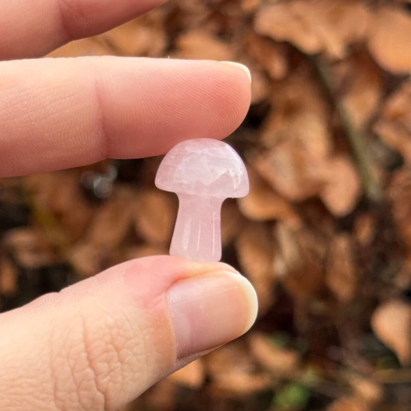 Paddenstoel Rozenkwarts
