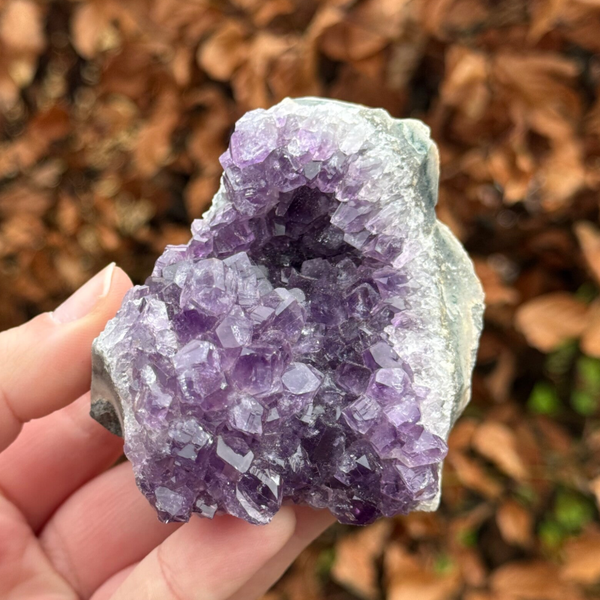 Amethist Cluster - #A6