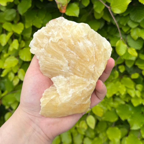 Gele Calciet