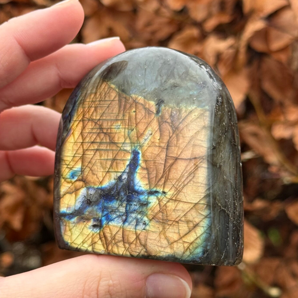 Dubbelzijdig Labradoriet Sculptuur - #E5