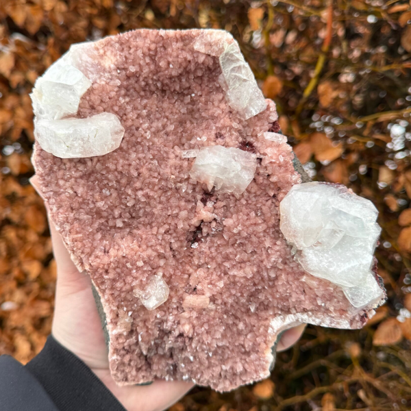 Grote Heulandiet met Apofyliet Cluster #IM1