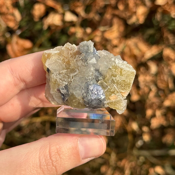 Fluoriet met Kwarts en Hematiet op voet