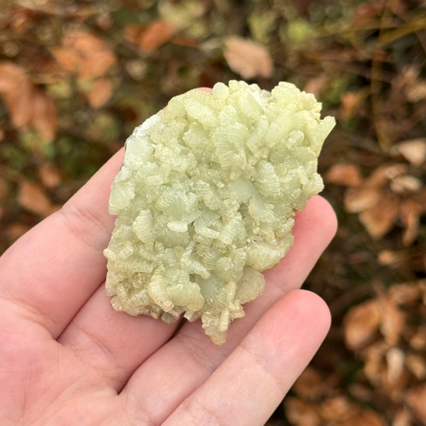 Marokkaanse Prehniet - #P8