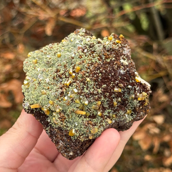 Uniek - Wulfeniet met Mimetesiet uit Mexico