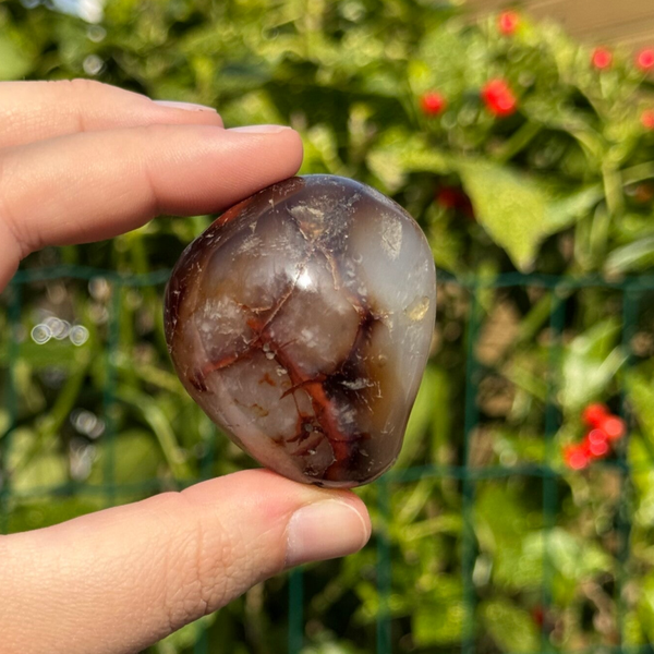 Bolle Carneool Handsteen - #HS28