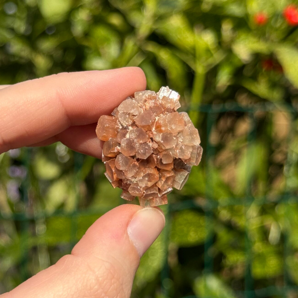 Aragoniet Roosje - #AR2