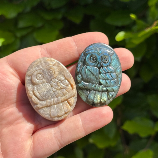 Uil Carving - kies zelf welke!