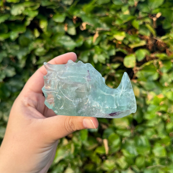 Fluoriet Drakenschedel #1