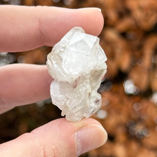 Spiegel Apofyliet Cluster - #IM11