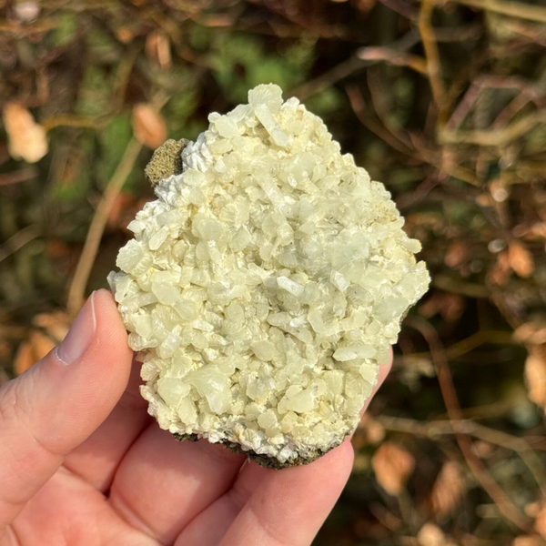 Marokkaanse Prehniet - #P4