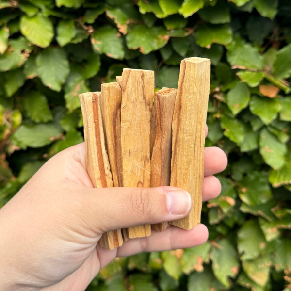 Palo Santo Stokje
