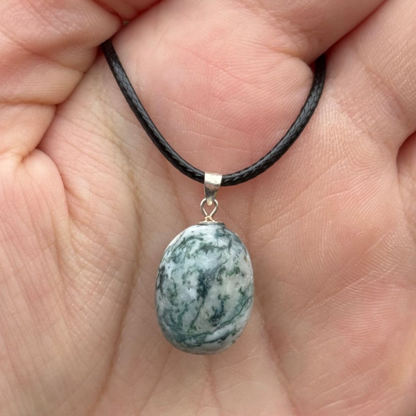 Boomagaat Gezondheidshanger