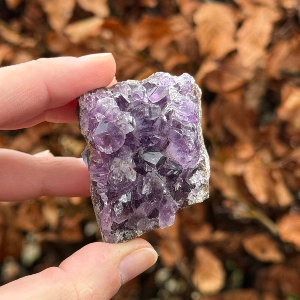 Amethist Cluster - #A8