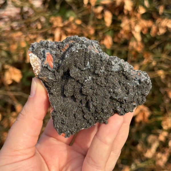 Manganiet Cluster - #MA3