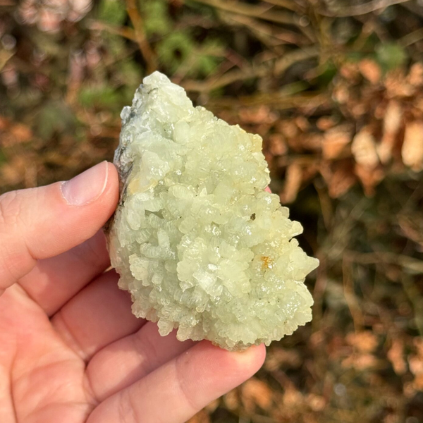 Marokkaanse Prehniet - #P1