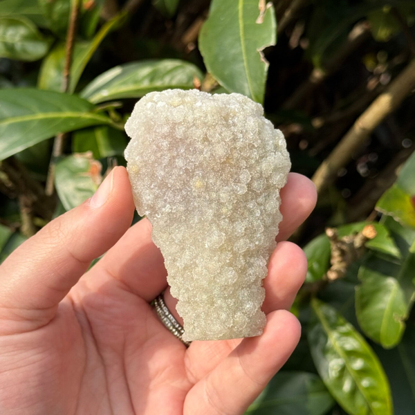 Chalcedoon met Apofyliet