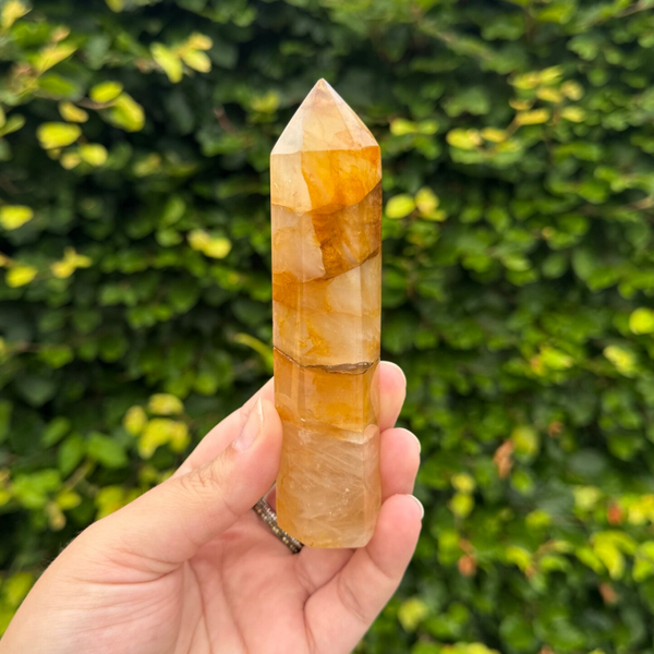 Golden Healer Punt #2