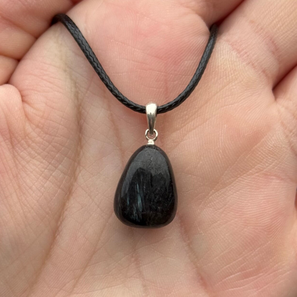 Astrofylliet Gezondheidshanger