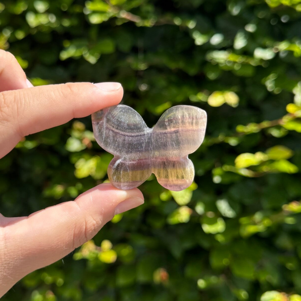 3D Vlinder - kies zelf welke!