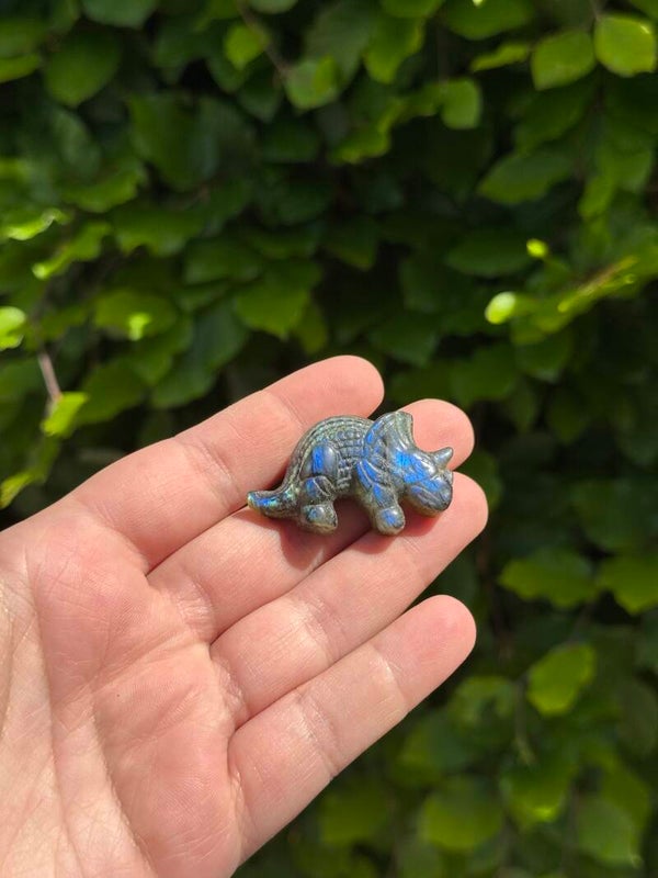 Dino
