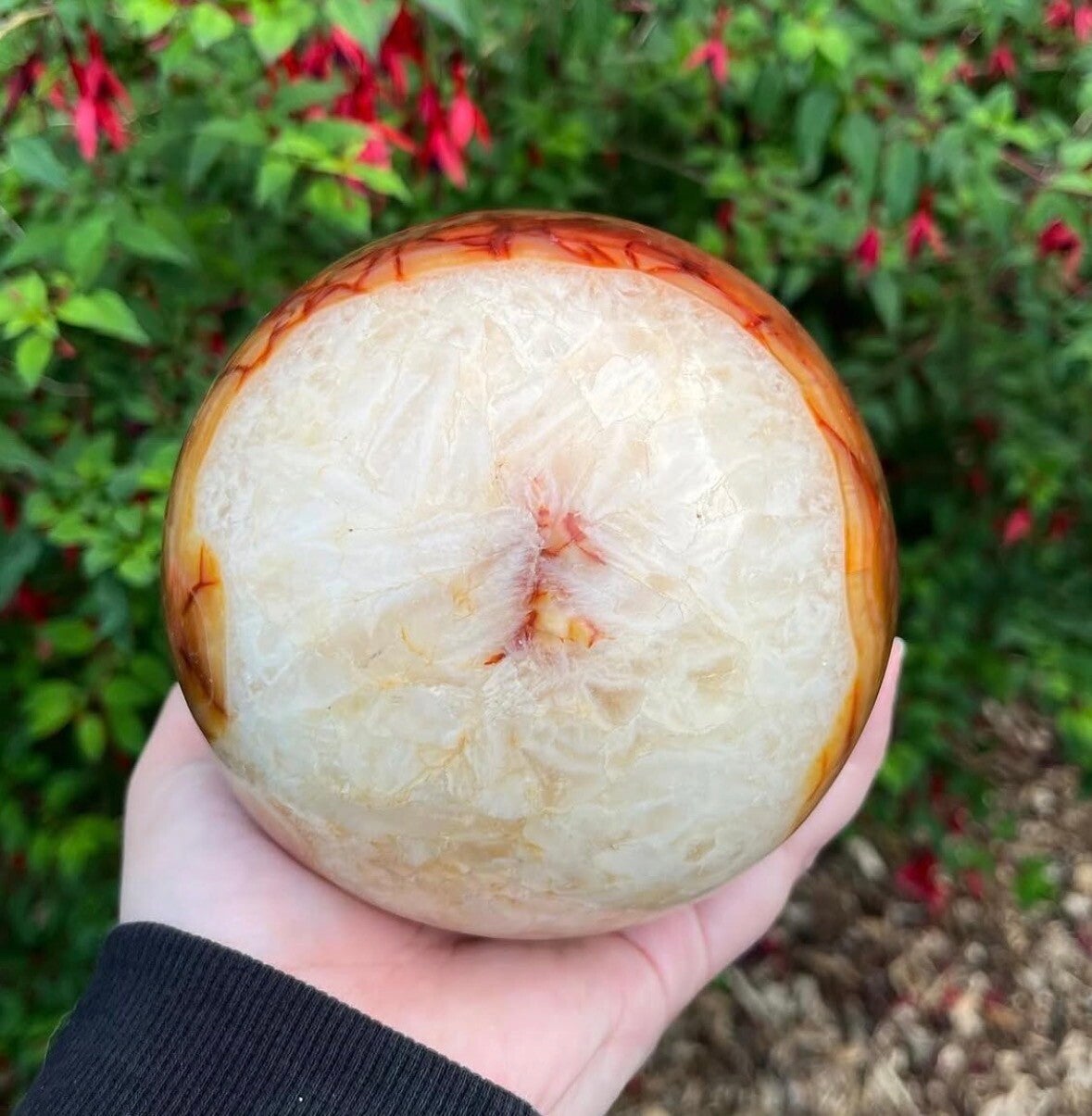 Statement Carneool Bol - 2,6KILO