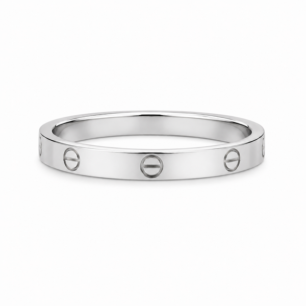 Celina Classic Schmal Silber ✨