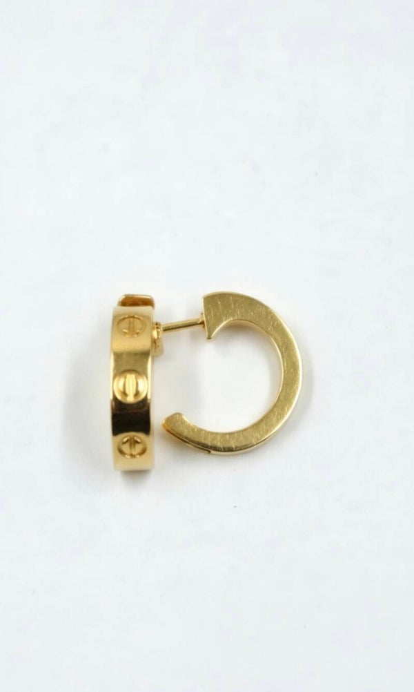 Celina Ohrringe - Gold✨