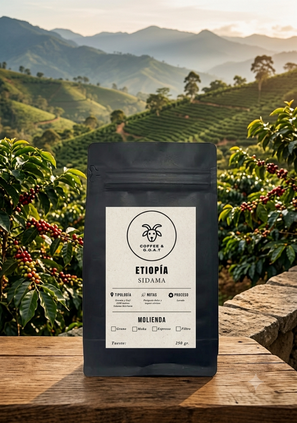 Sidamo Heirloom 250gr (Etiopía)