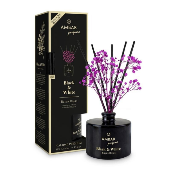 Mikado ambar fruit rouge 40ml