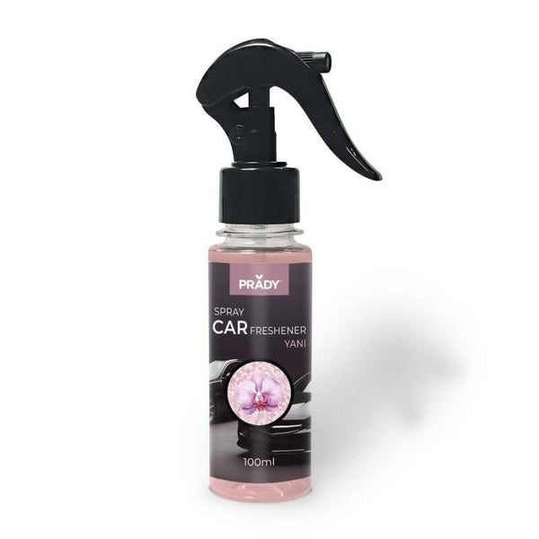 Spray voiture Yani