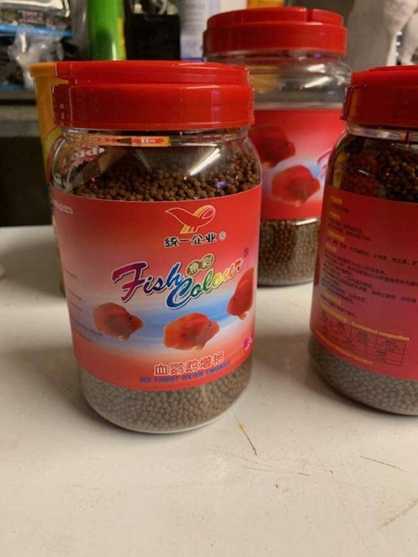 Fish Colour Fish Food