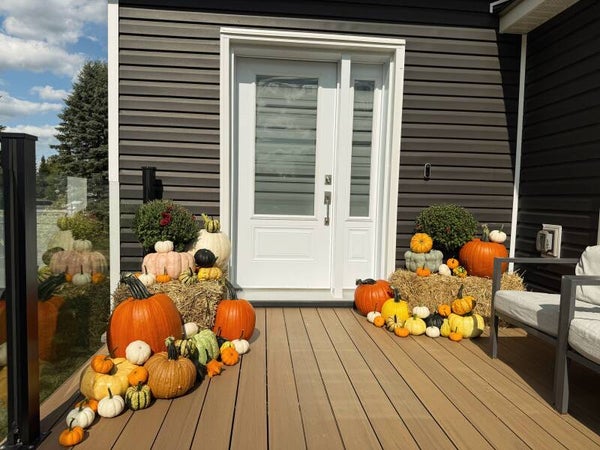 Fall Package 1