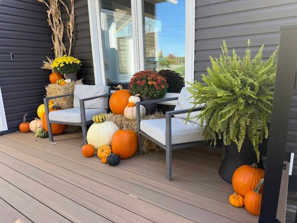 Fall Package 2