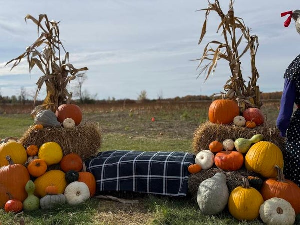 Add-On Hay Bales and Mums for Fall Packages