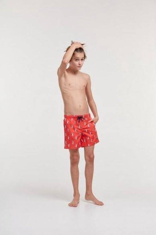 zwemshort heren - rood - zeemeeuw all-over print -