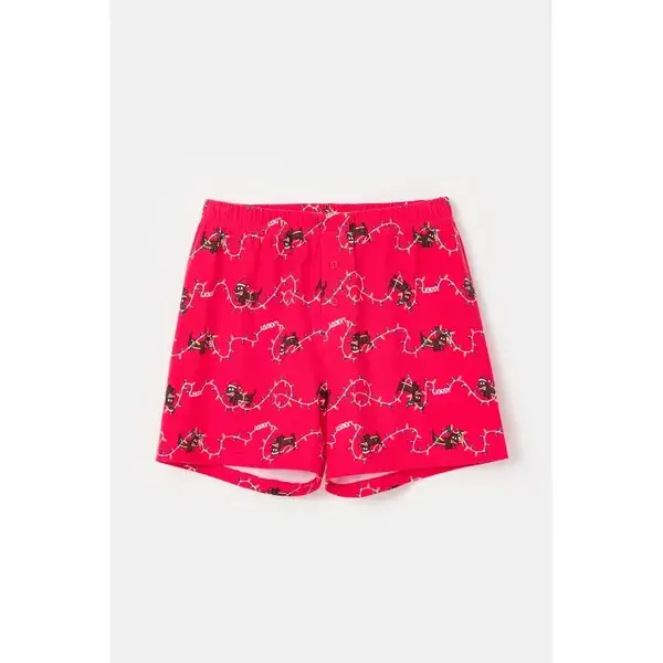 Heren Boxer - Kerst Teckel - Rood, 12 jaar