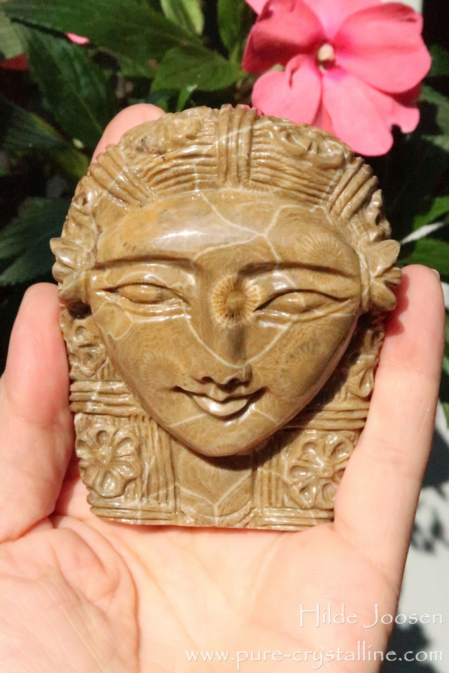 Fossil coral Hathor (flowers)