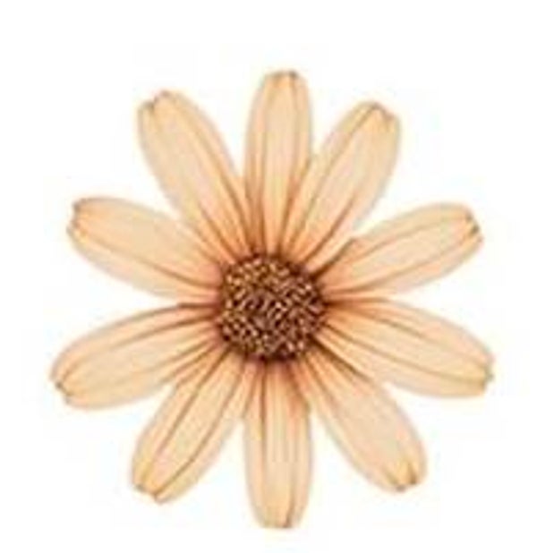 Tan Flower