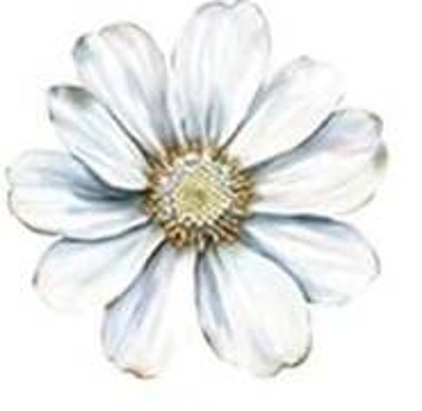 White Flower