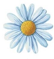 Blue Flower